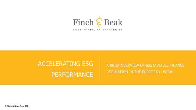 Finch & Beak - EU Sustainable Finance Regulation Summary Overview (2021).pdf